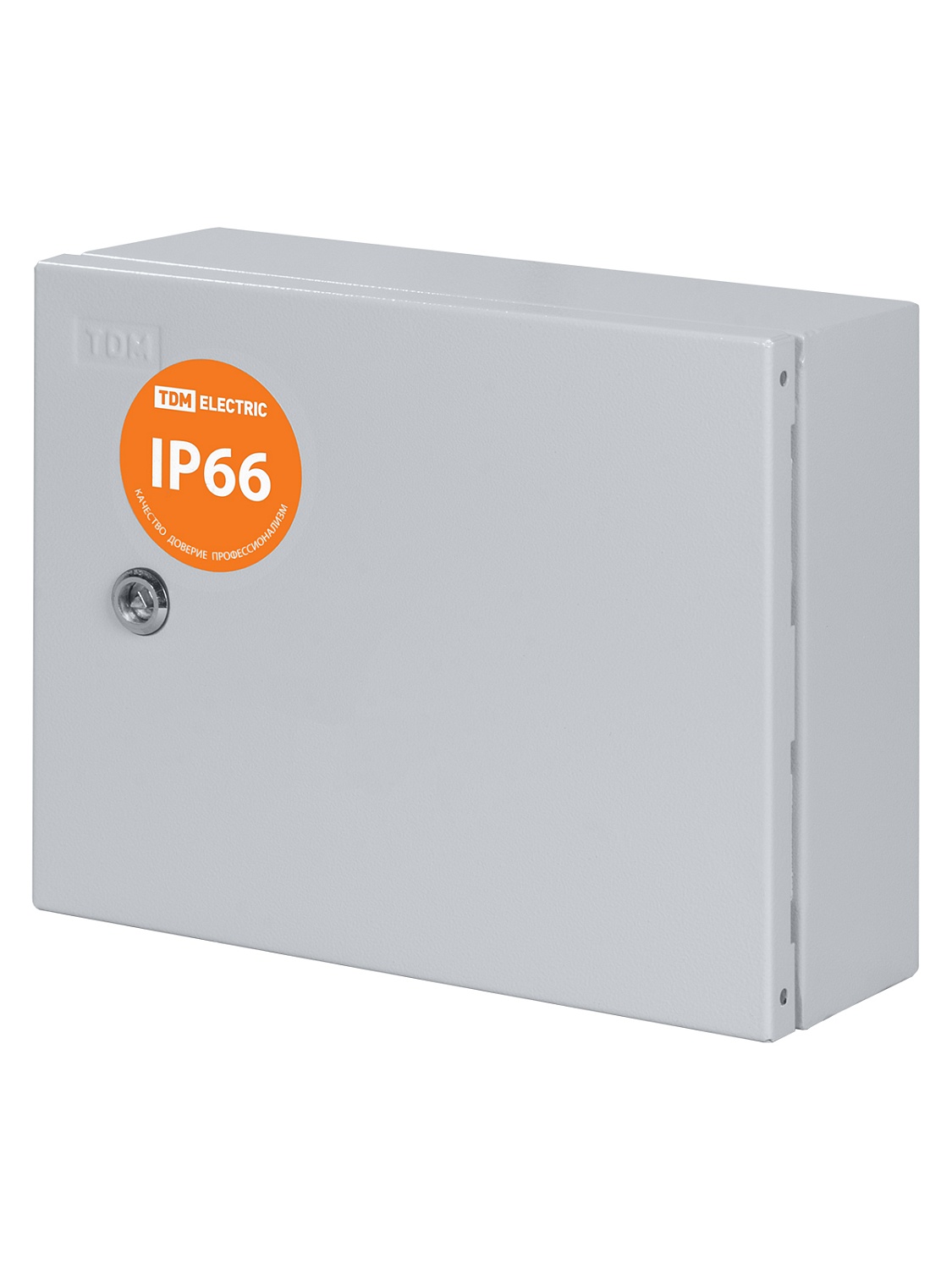 Корпус металлический ЩРН-12 IP66 (265х330х120) TDM